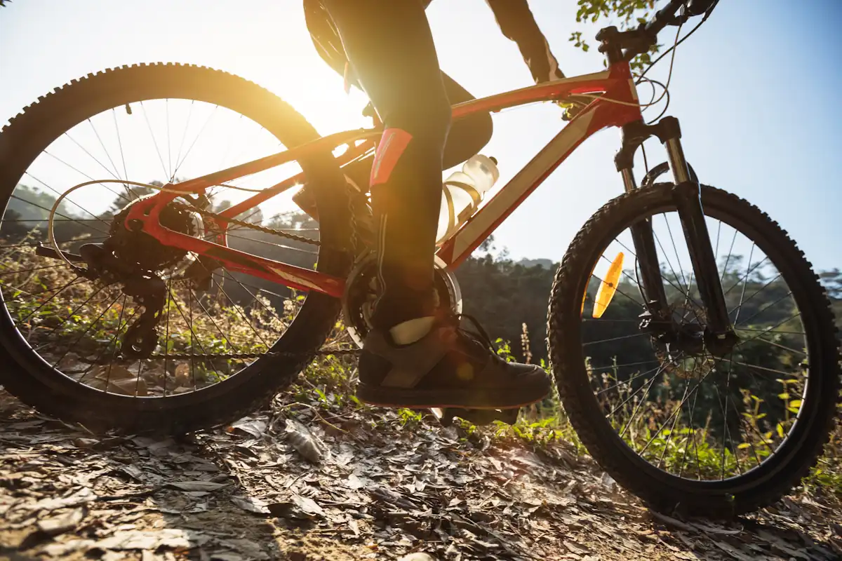 Une personne qui roule en VTT
